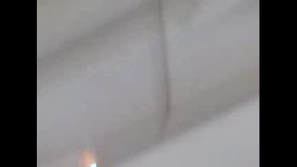 Бяла лястовица
