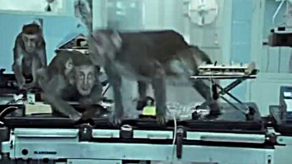 Basement Jaxx – Where's Your Head At
