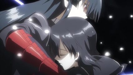Akame ga Kill! 22 Eng Subs [720p] [vivid-asenshi]