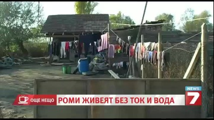 kazmera.1