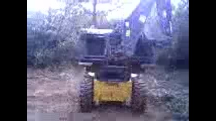 Bobcat show