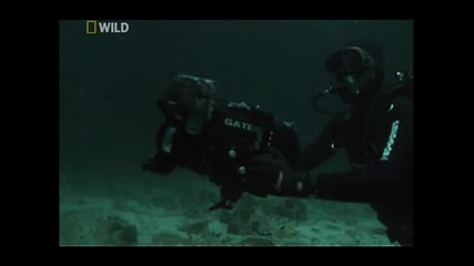 Нощта на Акулите Изгубени в морето (част 6/6) Бг Аудио