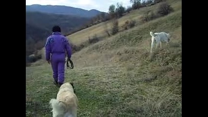 Img 0041 Айра.. 