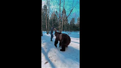 Михаил Кокляев тренира с мечка