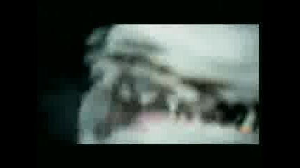 Дружелюбна акула  - Реклама