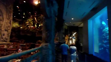 Rainforest Cafe - Dubai Mall