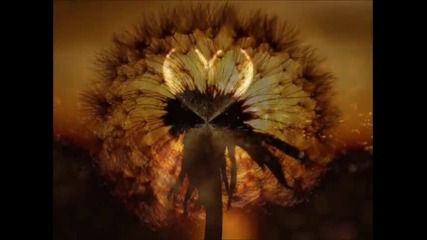 Neil Young - Heart of Gold (lyrics)