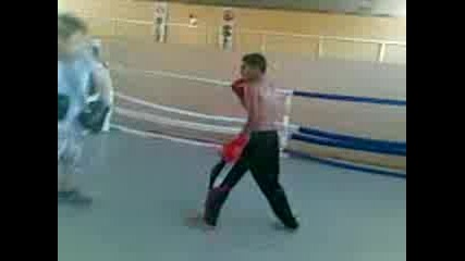 tolo boks