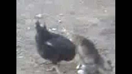 необикновенна любов 