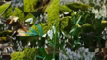 Másolat a következőről A.vivaldi - Spring - The Four Season.-
