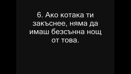 12 Причини Защо Котките Са По Добри От Мъжете