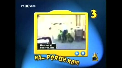 Рояците