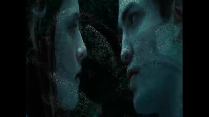 сумерки - я с тобой