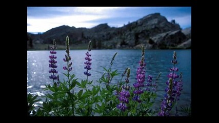 Richard Clayderman - The Blue Danube