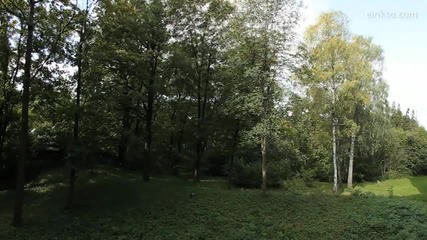 Една година в 90 секунди 