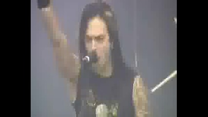 I Love You Matt Tuck (fanvideo)