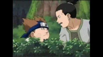 Shikamaru Lazy Summer