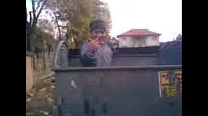 vik