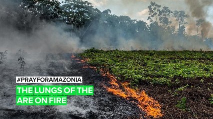 The Amazon fires are more terrifying with Bolsonaro in power