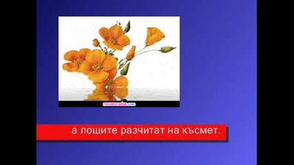 Надежда