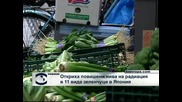Високи нива на радиация откриха в зеленчуци в Япония
