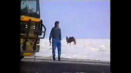 Extreme Trucking