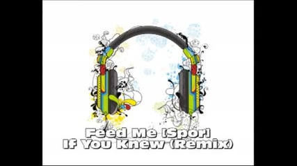 Chris Lake feat Nastala - If You Knew (feed Me [spor] Remix)