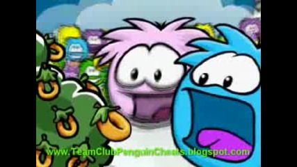 club penguin pufflie video 