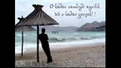 haktan 