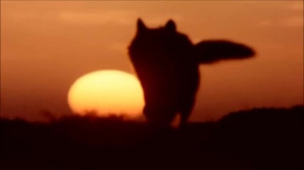 Mindset - Chasing Sunsets (original Mix)