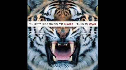 30 Seconds to Mars - Night Of The Hunter