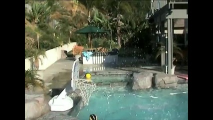 Невероятно Шоу с топка в басеин !!! Pool Domination