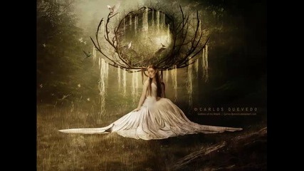 Tree woods - Time, will