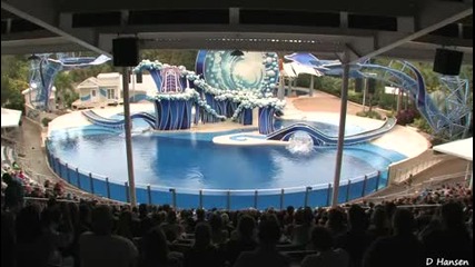 Красота - Seaworld's blue Horizons Dolphin Show