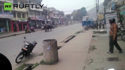 Rhino on a Rampage Through Nepal City Kills One and Injures 6