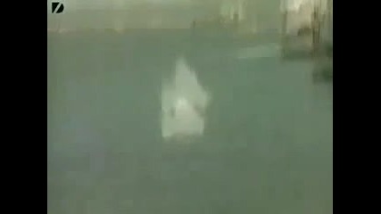 Това е чисто самоубийство!