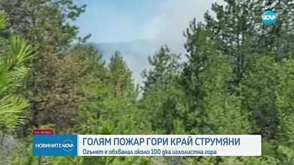 Пожар в труднодостъпна местност в Благоевградско