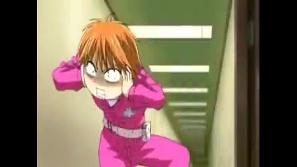 Skip Beat Tribute amv - Forever and Always