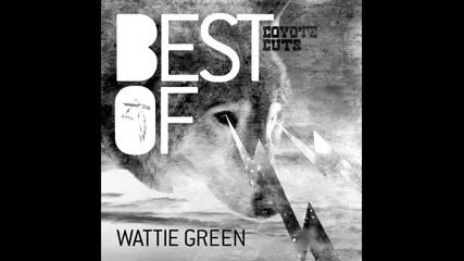 Wattie Green - Got To Move (original Mix)