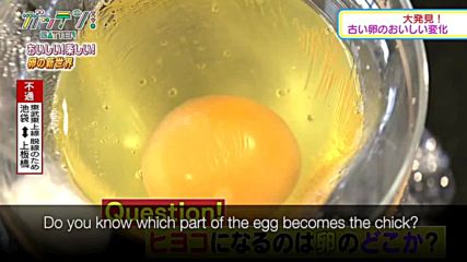 Откриха отговора на въпроса кое е първо - кокошката или яйцето