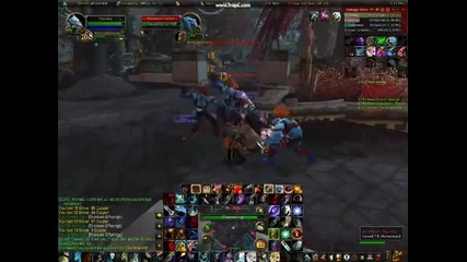 Wow damage dps crits wotlk