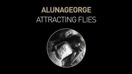 Aluna George - Attracting Flies (baauer Remix)