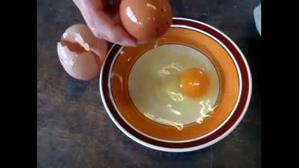 От яйце излиза яйце