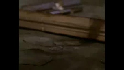 Buffy Faith Angel