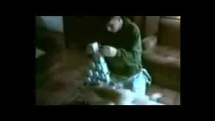 Много луди котки