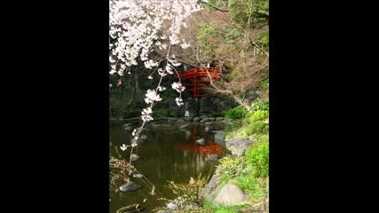 Spiritual Garden - Kitaro