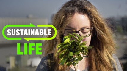 How To Be Sustainable At Work