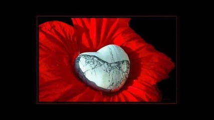 Chris Norman - Some Hearts Are Diamonds 