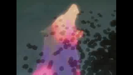 Wolfs Rain