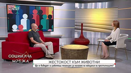Насилие над животни: Общество, институции и превенция